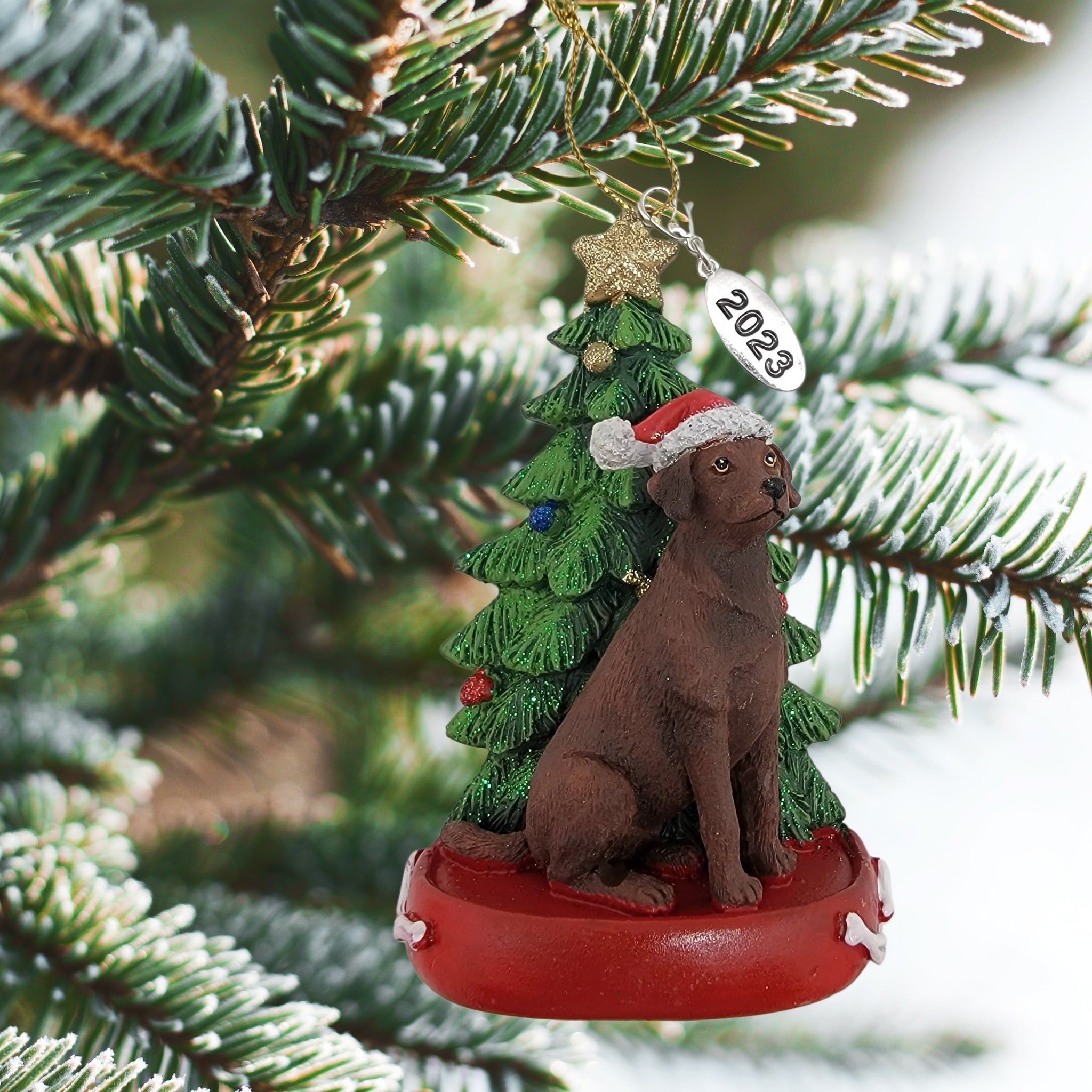 Chocolate Labrador Dog with Tree Ornament