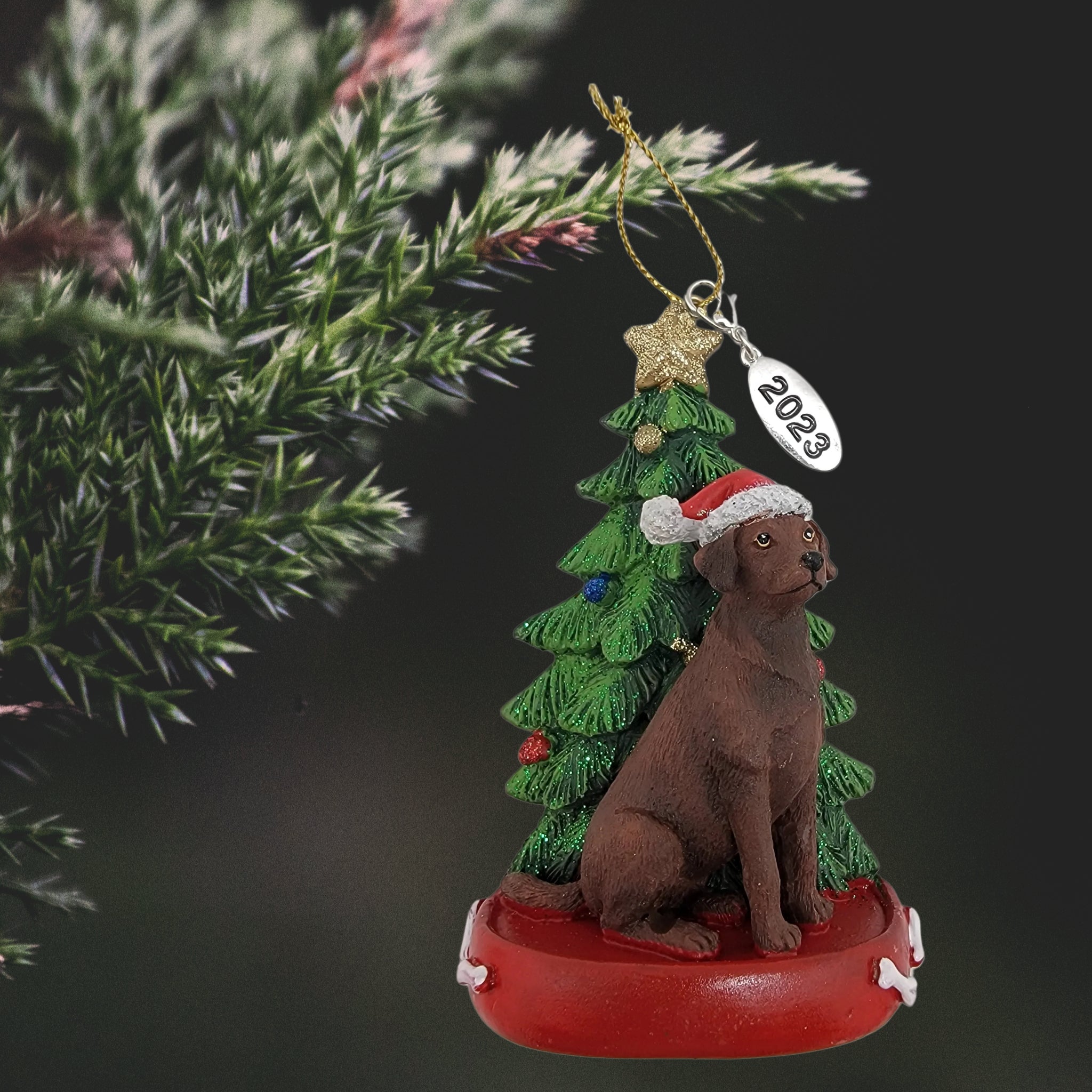 Chocolate Labrador Dog with Tree Ornament