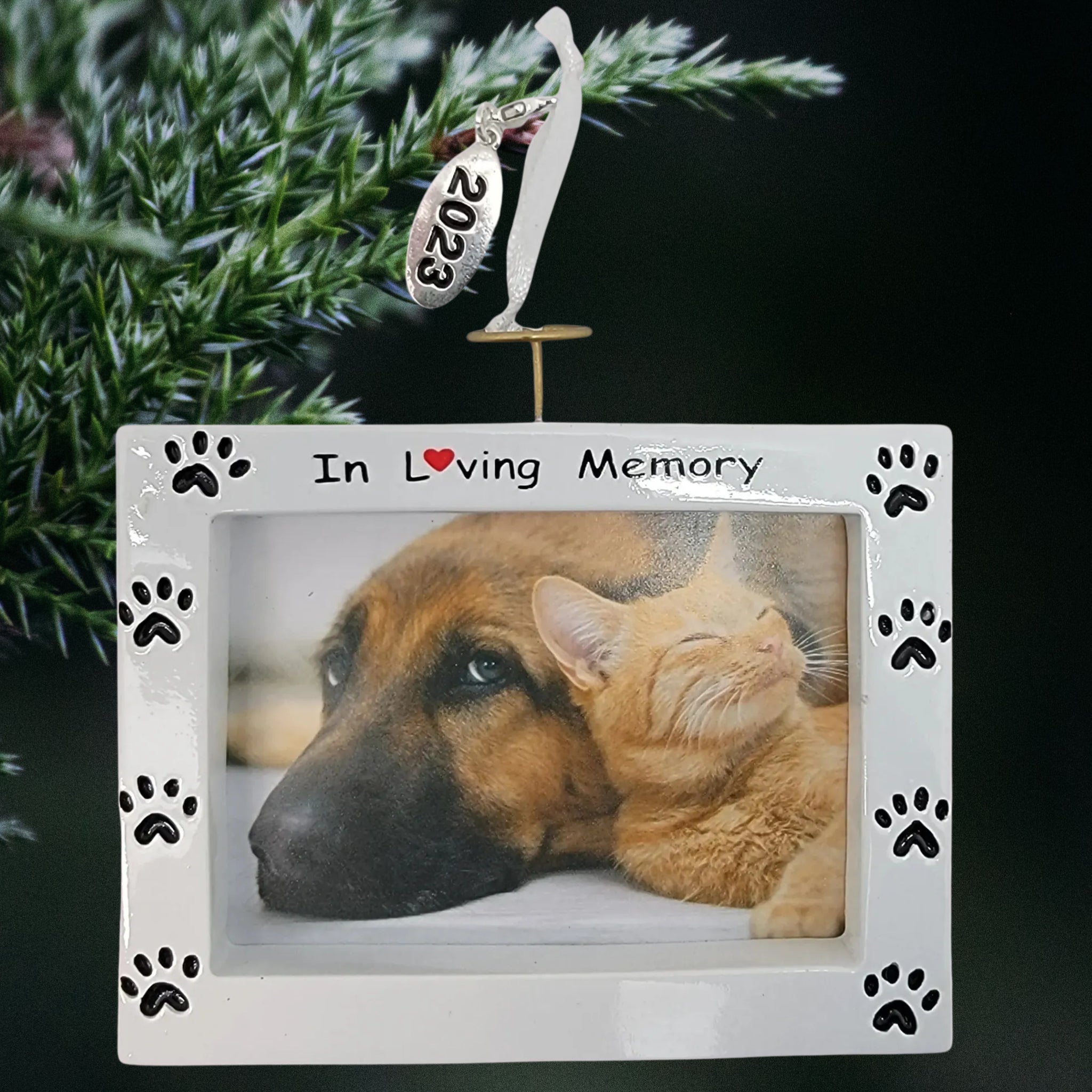 Pet Memorial Photo Frame Ornament - In Loving Memory