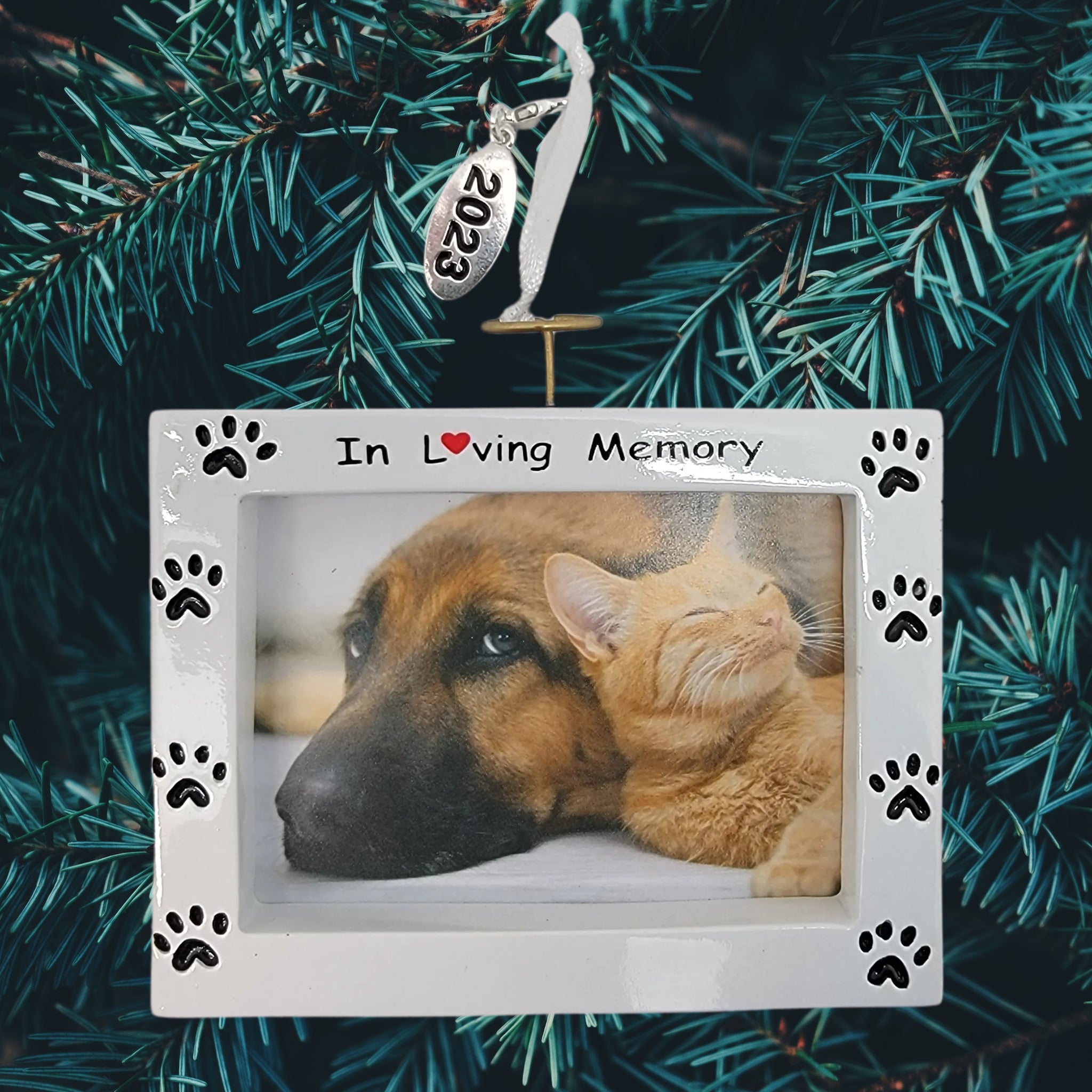 Pet Memorial Photo Frame Ornament - In Loving Memory