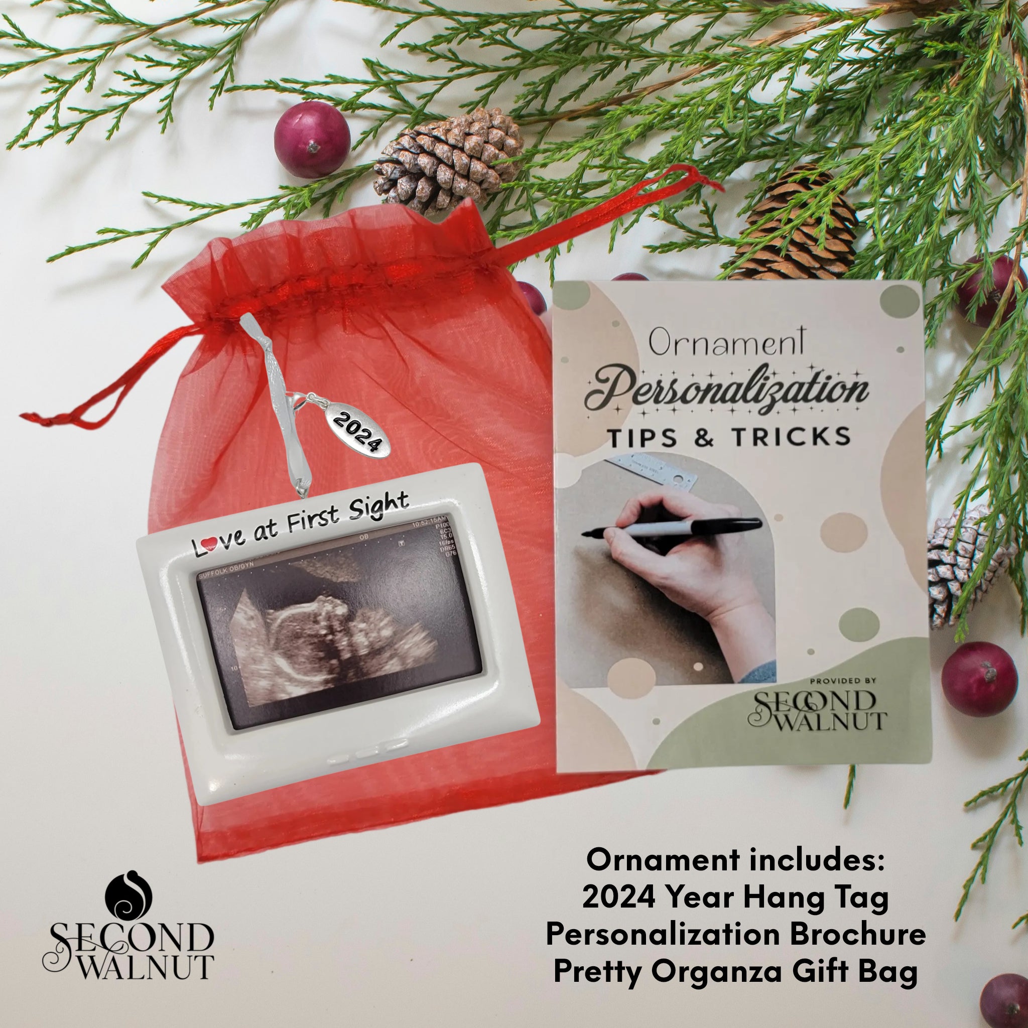 Baby's First Photo - Baby Sonogram Frame Ornament